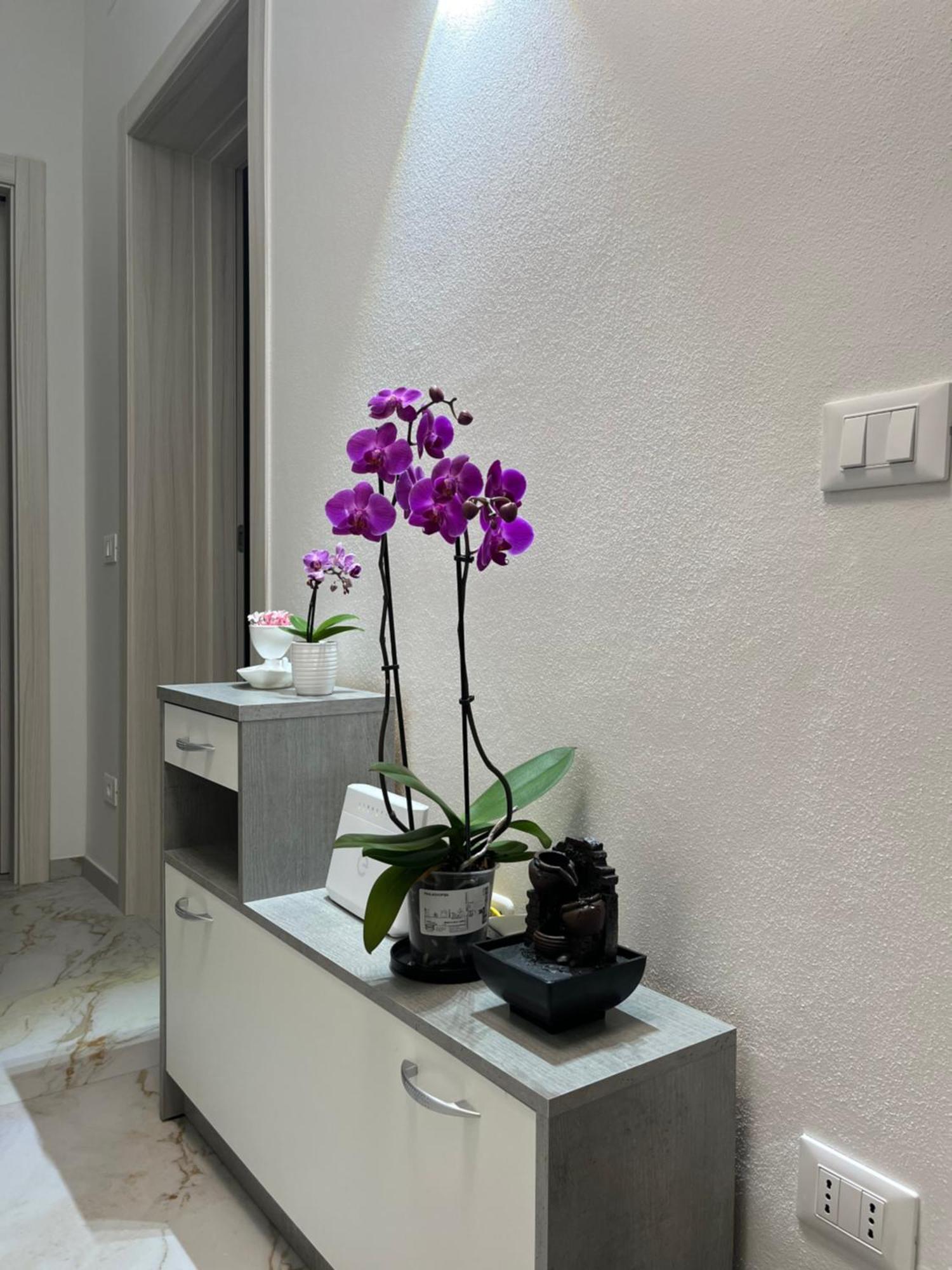 Apartment Orchidea *